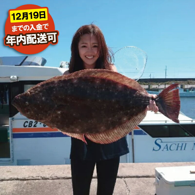 【ふるさと納税】 釣り船 ヒラメ 乗船券 午前 手ぶらOK 午前ヒラメ船乗船 フィッシング 釣り 千葉県 飯岡 九十九里 魚 魚釣り リール 竿 船 飯岡港 千葉 海 海釣り 沖釣り 新鮮魚 魚介 初心者 歓迎 千葉県 旭市 有限会社幸丸