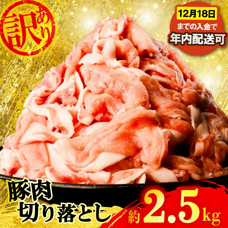 【ふるさと納税】 訳あり 豚肉 切り落とし 約 2.5 kg 小分け 真空パック 250g × 10パック 国産 豚 豚こま 豚こま肉 豚コマ肉 こま肉 カレー 鍋 送料無料 便利 新鮮 時短 冷凍 SPF しもやまSPF 千葉県 旭市 有限会社 下山農場