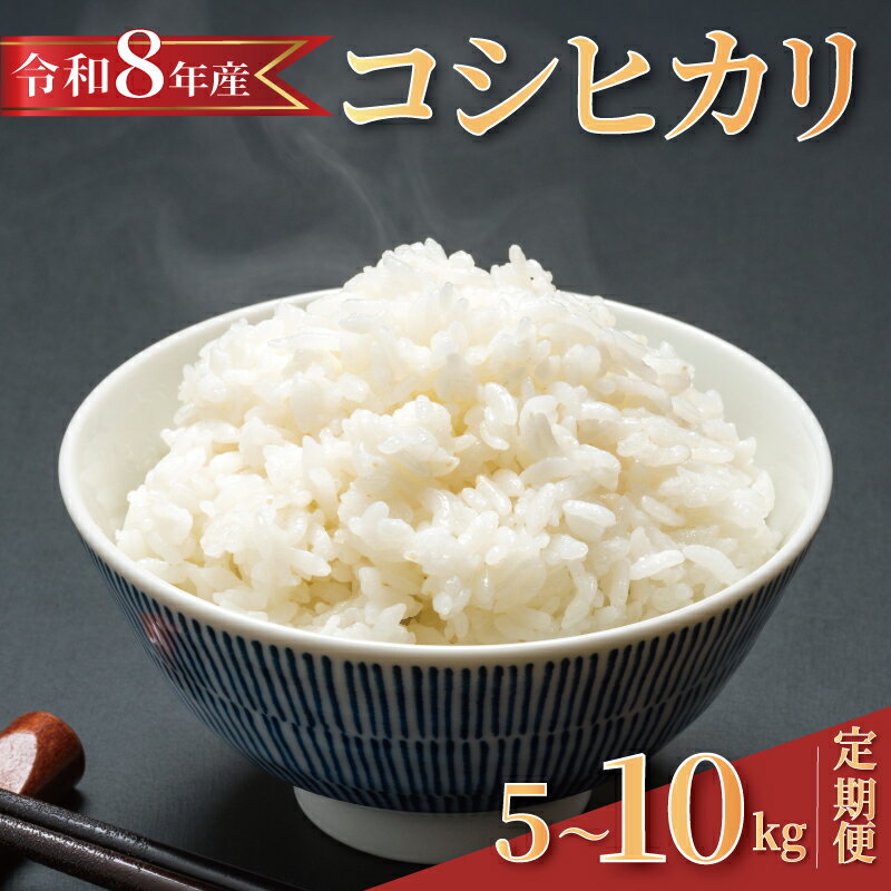 【ふるさと納税】 【 2026年8月発送 】 令和8年産 新米 米 コシヒカリ 選べる 5kg / 10kg / 定期便 固定月 全3回 精米 白米 新米 20...