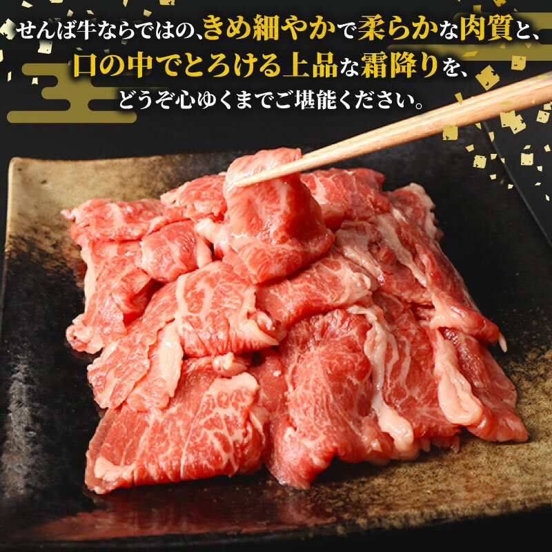 【ふるさと納税】 せんば牛 切り落とし 1kg ( 500g × 2 パック) 牛肉 牛 国産牛 肉 切り落とし 牛切り落とし 牛肉切り落とし スライス 牛肉スライス せんば牛 肉じゃが 牛丼 すき焼き カレー 農場 HACCP 千葉県 旭市