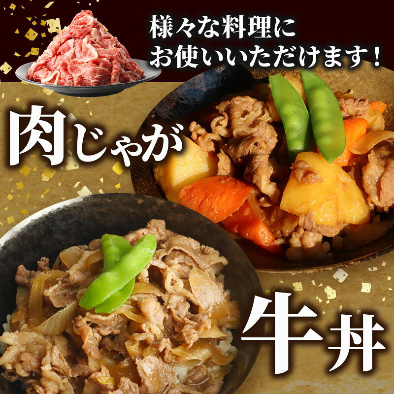 【ふるさと納税】 せんば牛 切り落とし 1kg ( 500g × 2 パック) 牛肉 牛 国産牛 肉 切り落とし 牛切り落とし 牛肉切り落とし スライス 牛肉スライス せんば牛 肉じゃが 牛丼 すき焼き カレー 農場 HACCP 千葉県 旭市