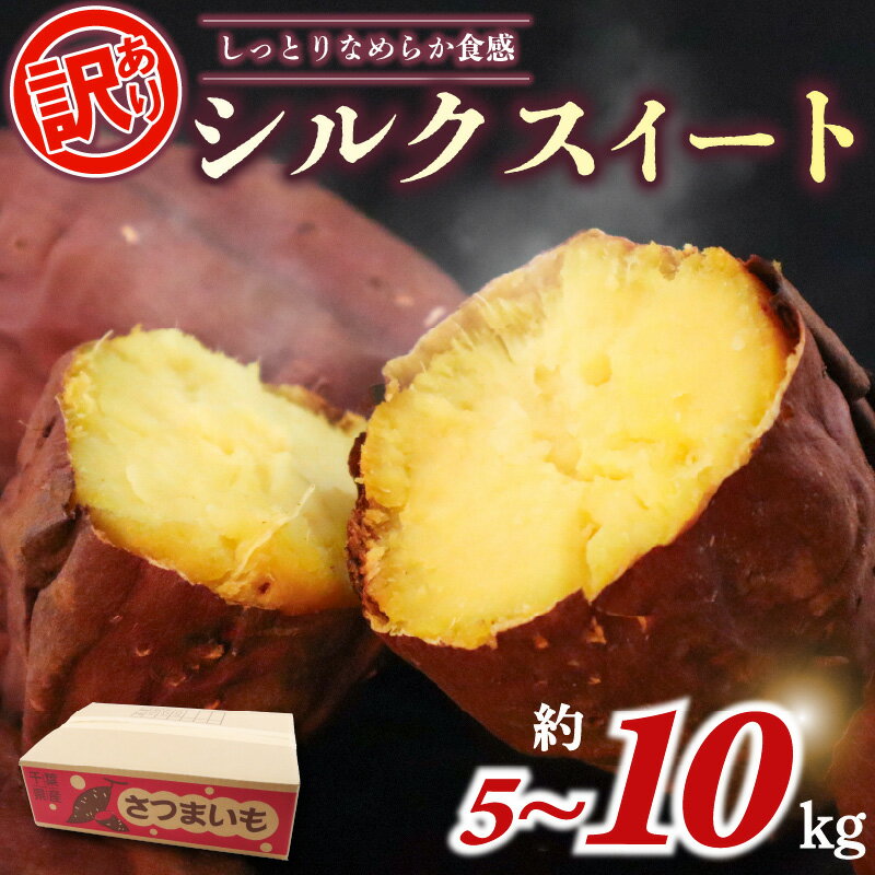 【ふるさと納税】 訳あり 先行予約 さつまいも シルクスイート 選べる 約 5kg 10kg 2025年 11月以降順次発送予定 土付き さつま芋 さつまイモ 野菜 産地直送 国産 千葉県産 旬 秋 いも サツマイモ 焼きいも スイートポテト スイーツ ふるさと納税 千葉県 旭市 向後メロン園
