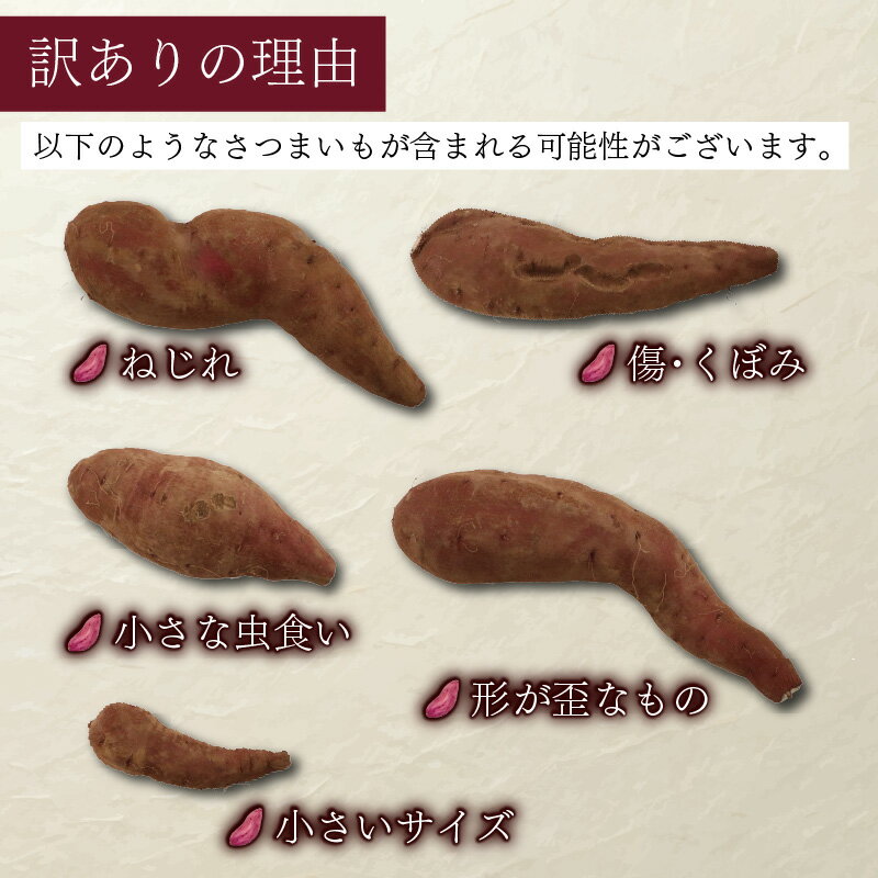 【ふるさと納税】 訳あり 先行予約 さつまいも シルクスイート 選べる 約 5kg 10kg 2025年 11月以降順次発送予定 土付き さつま芋 さつまイモ 野菜 産地直送 国産 千葉県産 旬 秋 いも サツマイモ 焼きいも スイートポテト スイーツ ふるさと納税 千葉県 旭市 向後メロン園
