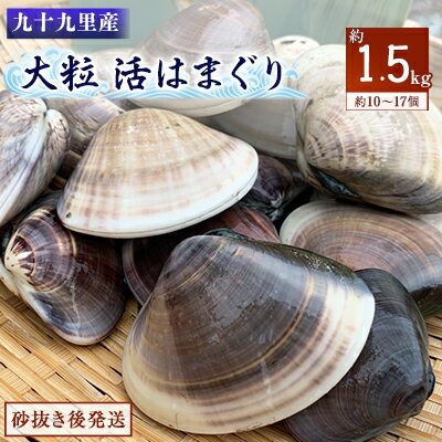 某TV番組で全国一位に!九十九里産 大粒活はまぐり 約1.5kg[配送不可地域:離島]