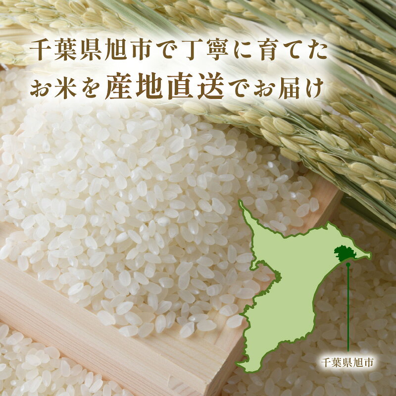 【ふるさと納税】 米 こしひかり 令和8年度産 定期便 3ヶ月 6ヶ月 12ヶ月 新米 6kg × 3回 6回 12回 18kg 36kg 72kg 先行予約 新米 精米 白米 米 銘柄米 国産米 コシヒカリ こしひかり 3ヵ月 6ヵ月 12ヵ月 防災 産地直送 国産 千葉県産 ふるさと納税 千葉県 旭市 f122157-asahi-10000844 千葉県旭市 サンプル画像2