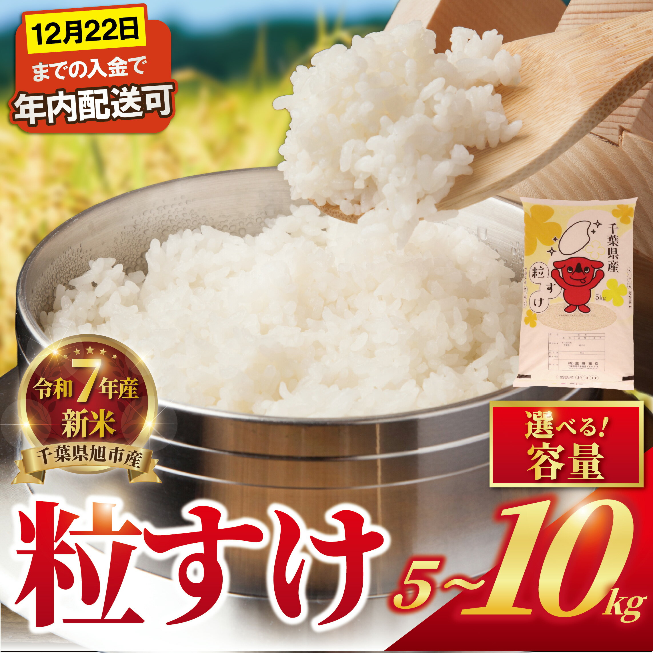 [ 令和7年産 ] 新米 米 粒すけ 選べる 5kg / 10kg 精米 白米 新米 7年産 お米 ご飯 こめ コメ ご飯 銘柄米 つぶすけ 一等米 備蓄 防災 お弁当 送料無料 国産 千葉県産 ふるさと納税 千葉県 旭市