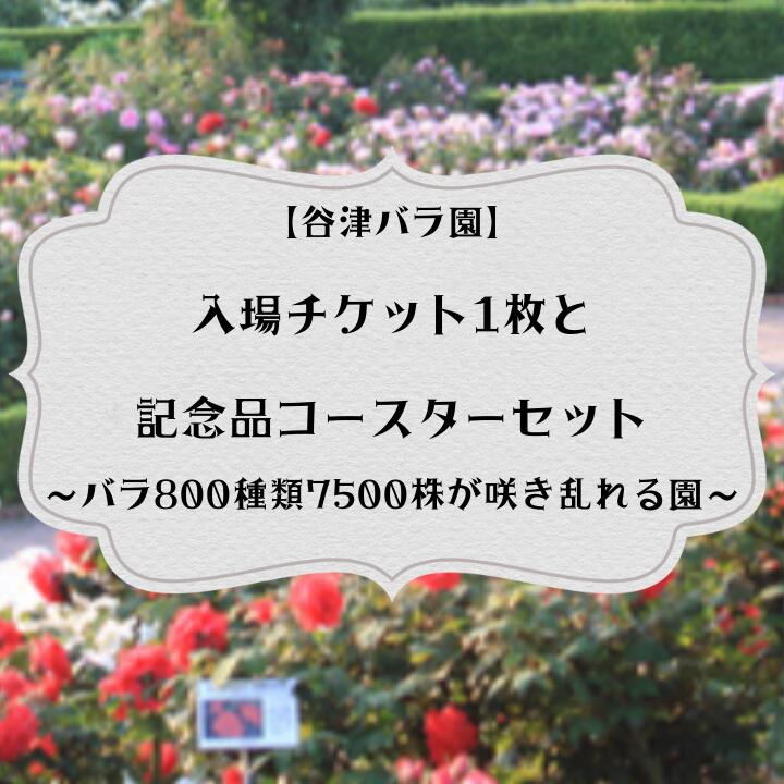 バラ800種類7500株が咲き乱れる[谷津バラ園]入場チケット1枚と記念品コースターセット バラ色のしあわせなひとときを!