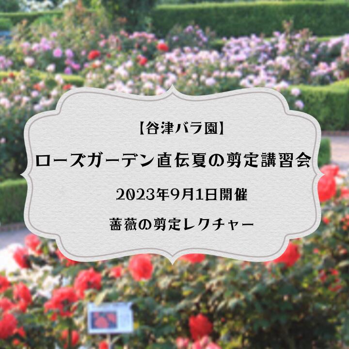 【ふるさと納税】ローズガーデン直伝夏の剪定講習会　2023年9月1日開催【谷津バラ園】薔薇の剪定レクチャー