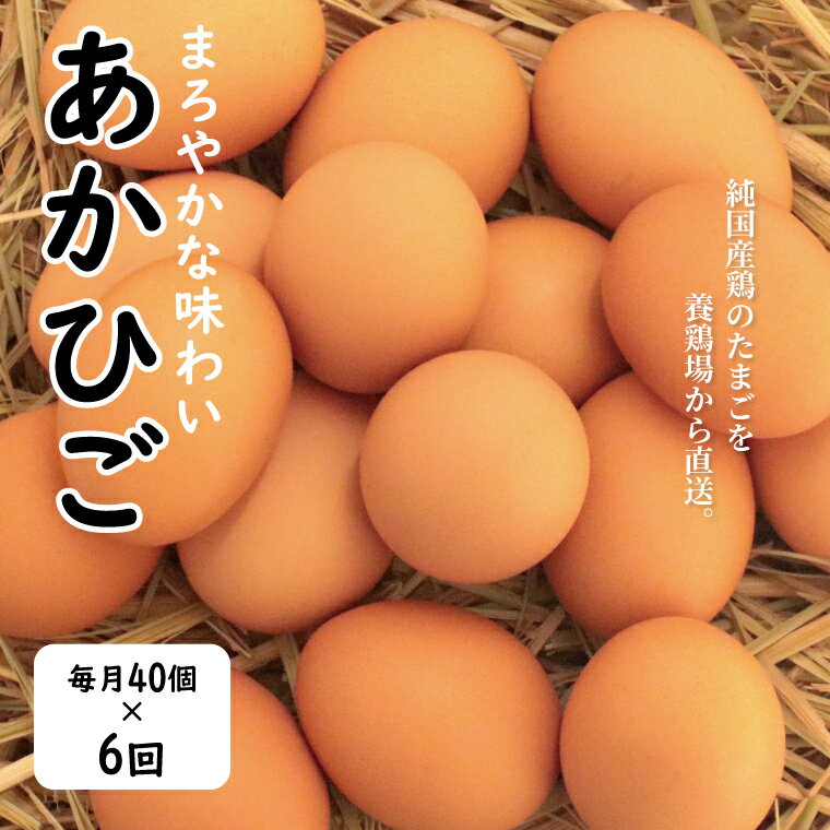 【ふるさと納税】【定期便】たまご おすすめ むこたま 【あかひご】 Mサイズ 40個 定期便 6ヶ月 卵 養鶏場 直送 セット 朝食 夕食 昼食 ランチ TKG オムレツ お菓子作り