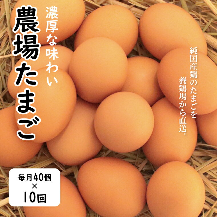 [定期便]たまご おすすめ むこたま [農場たまご] Mサイズ 40個 定期便 10ヶ月 卵 養鶏場 直送 セット 朝食 夕食 昼食 ランチ TKG オムレツ お菓子作り