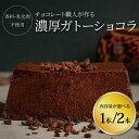【ふるさと納税】 チョコレート カカオ ガトーショコラ お菓子 スイーツ チョコ 専門店 Bean to bar カカオニブ 美味しい フルーティ おやつ プレ...