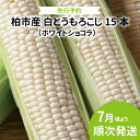 【ふるさと納税】【先行予約】【2025年7月発送】 とうもろこし ホワイトショコラ 15本 野菜 トウモロコシ コーン 白とうもろこし 甘い 国産 千葉県産 柏...