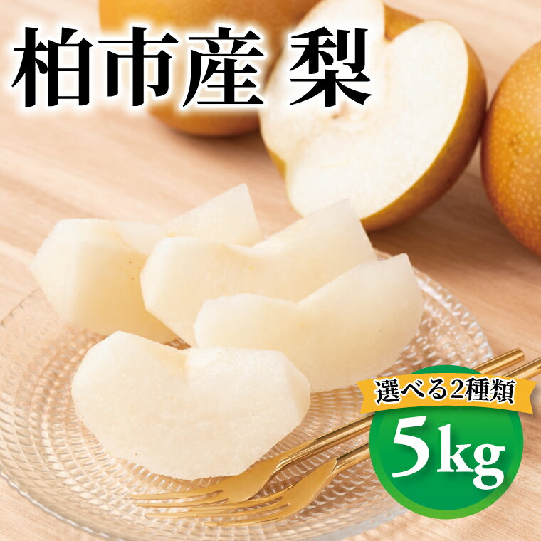 【ふるさと納税】【先行予約】【2026年8月発送】 梨 豊水 幸水 フルーツ 選べる 2種類 5kg 果物 なし 新高梨 旬 国産 産地直送 千葉県産 柏市産 おいしい おすすめ 新鮮 デザート 大量 予約
