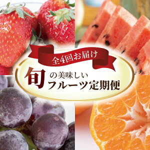 【ふるさと納税】【定期便】 フルーツ 定期便 全4回 果物 いちご すいか 巨峰 みかん 3か月毎 旬 国産 産地直送 千葉県産 柏市産 おいしい おすすめ 新鮮 くだもの イチゴ 苺 ぶどう 葡萄 ブドウ