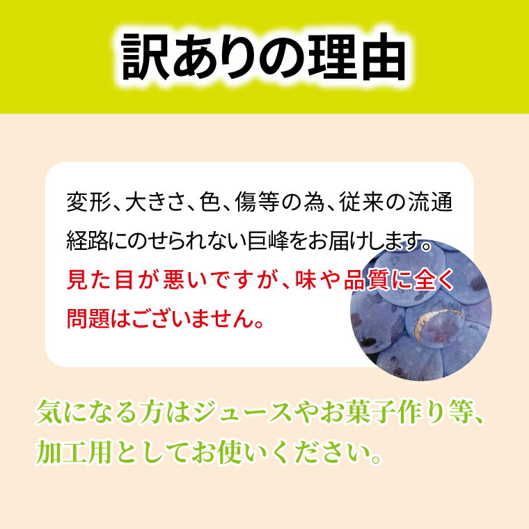 千葉県柏市の画像2