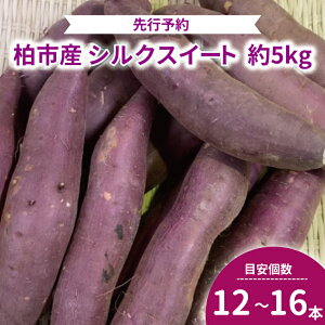 【ふるさと納税】 さつまいも シルクスイート 5kg セット 野菜 さつま芋 さつまイモ 産地直送 国産 千葉県産 柏市産 旬 おいしい いも サツマイモ 焼きいも 焼き芋 スイートポテト お菓子 秋 新鮮 おすすめ 大量 季節限定