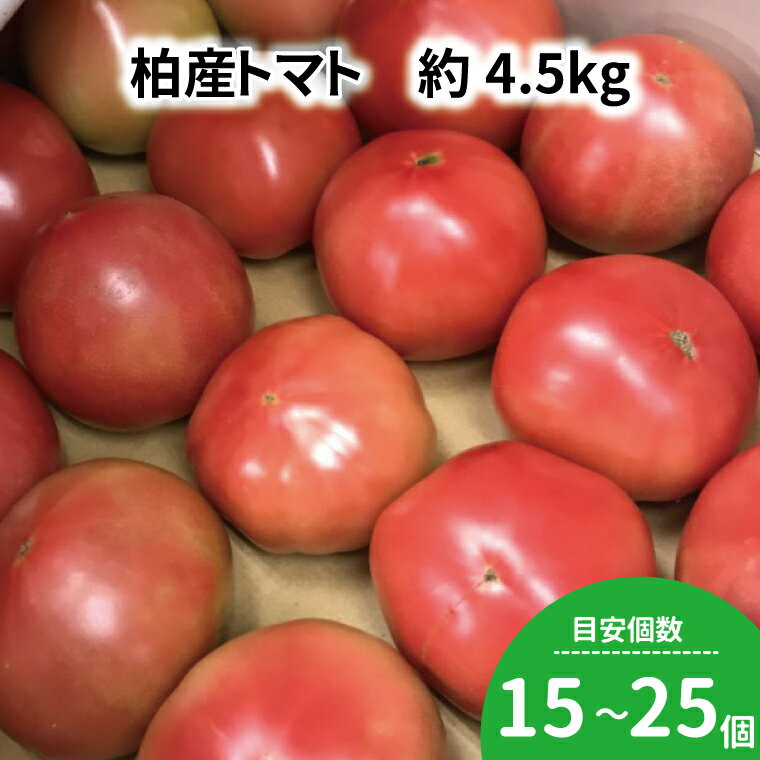 【ふるさと納税】 トマト 4.5kg セット 野菜 美味しい おいしい 大玉 中玉 旬 国産 千葉県産 柏市産 トマトソース サラダ プレゼント 贈り物 お取り...