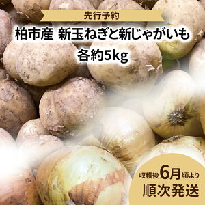 【ふるさと納税】【先行予約】【2025年6月発送】 たまねぎ じゃがいも 新玉ねぎ 新じゃが 野菜 詰め合わせ 各 5kg 合計 10kg ジャガイモ 新玉 新じゃがいも ポテト サラダ 肉じゃが カレー 旬 国産 産地直送 千葉県産 柏市産 おいしい おすすめ 大量 夏野菜 大量消費 予約