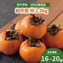 【ふるさと納税】 柿 かき フルーツ 果物 2.5kg 〈 刀根柿 種なし 〉 または 〈 渋抜き 富有柿 種あり 〉 カキ 旬 国産 産地直送 千葉県産 柏市産 おいしい 美味しい おすすめ デザート 大量