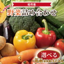 【ふるさと納税】 定期便 新鮮 野菜 詰め合わせ セット 12か月 単品 選べる 旬 野菜セット 野菜詰め合わせ 国産 千葉県産 柏市産 おいしい おまかせ 一...