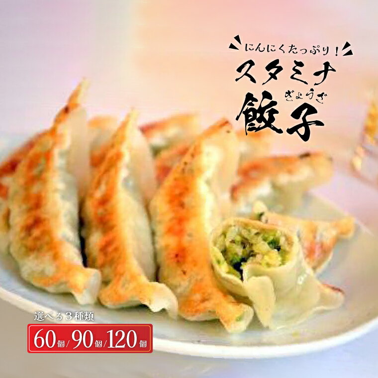 【ふるさと納税】 にんにく 餃子 冷凍餃子 セット 冷凍食品 人気 美味しい 老舗 有名店 絶品 ニンニク スタミナ餃子 選べる個数 60個 90個 120個 パーティ おすすめ おいしい 簡単 焼くだけ 手作り ギョーザ ぎょうざ 焼き餃子 野菜 おかず 総菜 おつまみ 中華 大量 弁当
