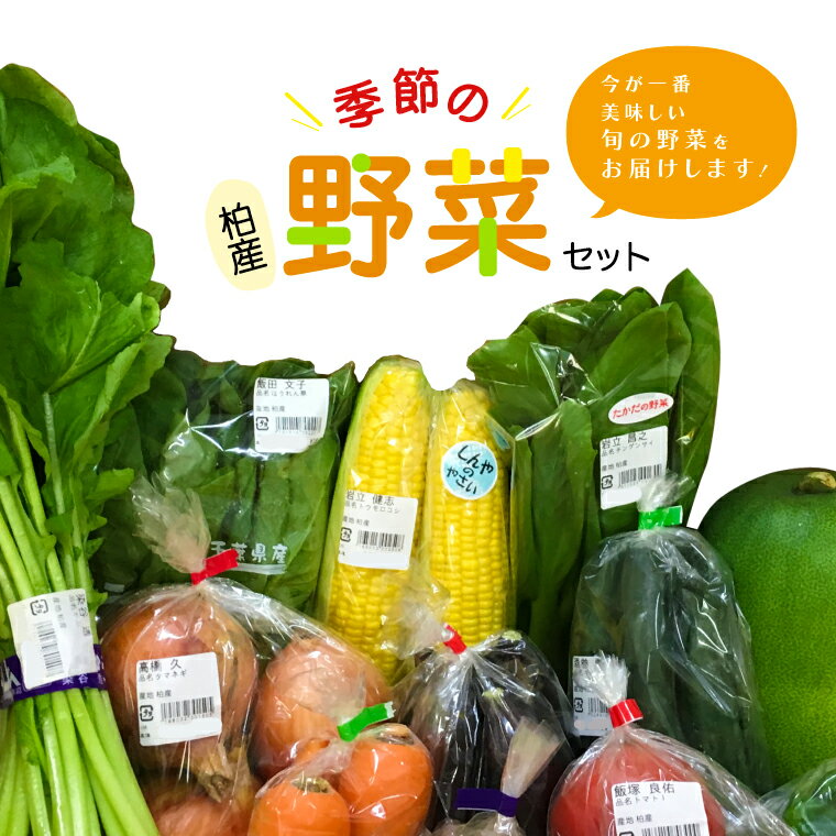 【ふるさと納税】 野菜 詰め合わせ セット 野菜セット 野菜詰め合わせ 旬 国産 千葉県産 柏市産 おいしい おまかせ 新鮮野菜 一人暮らし 父の日 母の日 プレゼント 贈り物 お取り寄せ 取り寄せ おすすめ おススメ 産地直送