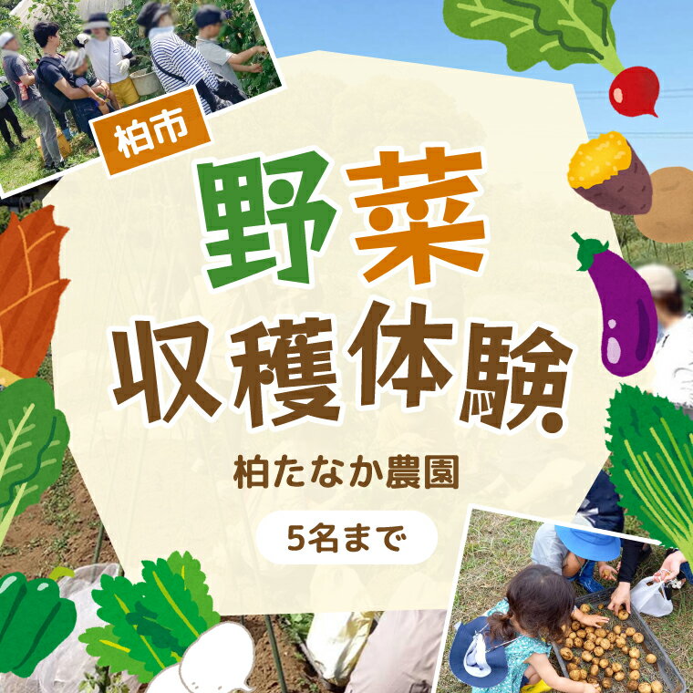 体験 チケット 野菜収穫 旬の野菜 収穫体験 食育 収穫体験 農業体験 体験 収穫 野菜 子供 親子 レジャー 観光 農作物 サツマイモ さつまいも 春野菜 夏野菜 タケノコ たけのこ じゃがいも ジャガイモ