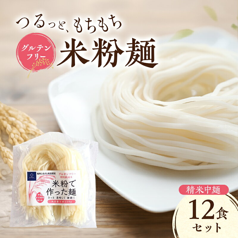 【ふるさと納税】グルテンフリー 米粉麺 精米中麺 12食セット 麺 めん 精米麺 米粉 グルテンフリー麺 中麺 うどん パスタ ラーメン 和風だし トマトソース クリーム系 炒め麺 塩分0％ 千葉県 柏市