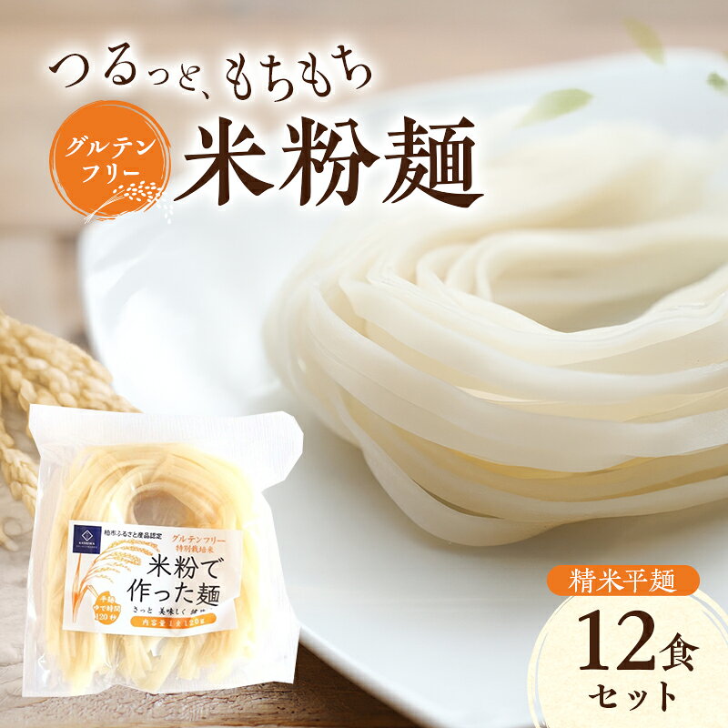 【ふるさと納税】グルテンフリー 米粉麺 精米平麺 12食セット 麺 めん 精米麺 米粉 グルテンフリー麺 平麺 パスタ フィットチーネ 鍋料理 おでん 塩分0％ 千葉県 柏市