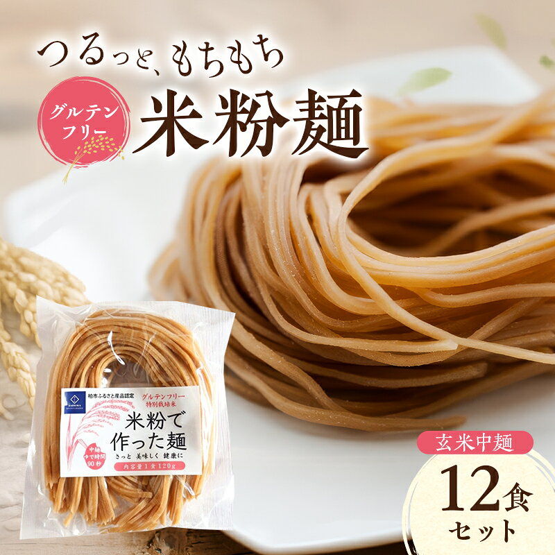 【ふるさと納税】グルテンフリー 米粉麺 玄米中麺 12食セット 麺 めん 玄米麺 米粉 グルテンフリー麺 中麺 うどん パスタ 汁物 冷やし麺 炒め麺 ソース系 塩分0％ 千葉県 柏市