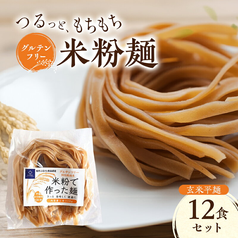 【ふるさと納税】グルテンフリー 米粉麺 玄米平麺 12食セット 麺 めん 玄米麺 米粉 グルテンフリー麺 平麺 パスタ フィットチーネ 鍋料理 おでん 塩分0％ 千葉県 柏市