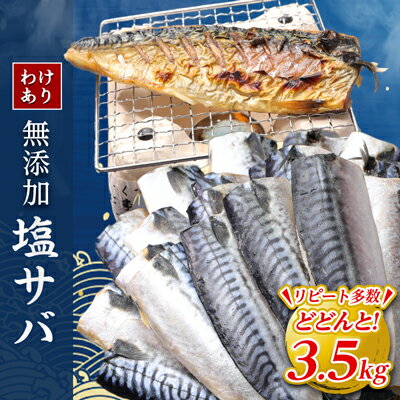 [訳あり]勝浦市の人気の海鮮お礼品 無添加 塩サバ 3.5kg[配送不可地域:離島]