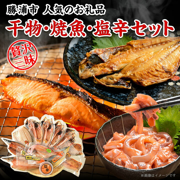 【ふるさと納税】干物・焼魚・塩辛セット【配送不可地域：離島】