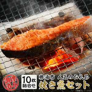 【ふるさと納税】焼き魚セット【1008364】