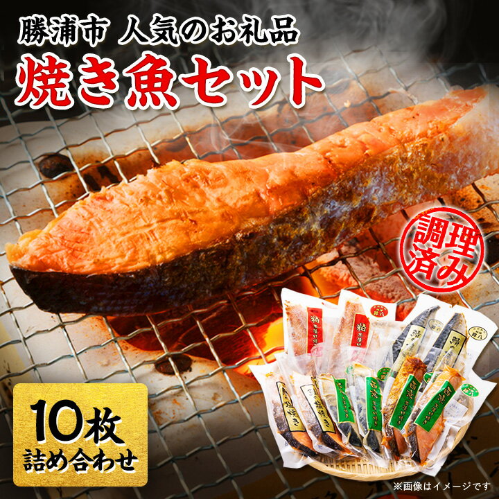 【ふるさと納税】焼き魚セット【配