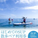 【ふるさと納税】マリブポイント SUP 散歩 ペア 利用券 1枚 マリブポイント《30日以内に出荷予定(土日祝除く)》マリンスポーツ 初心者 はじめて 海 千葉県 勝浦市【配送不可地域あり】