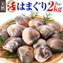 【ふるさと納税】 数量限定 天然 活 はまぐり 2kg 1kg 1個:40g~80g 寺田水産 《2025年7月上旬-2026年6月末頃出荷》千葉県 勝浦市 海産 貝 はまぐり【配送不可地域:離島・北海道・沖縄県・東北・中国・四国・九州】