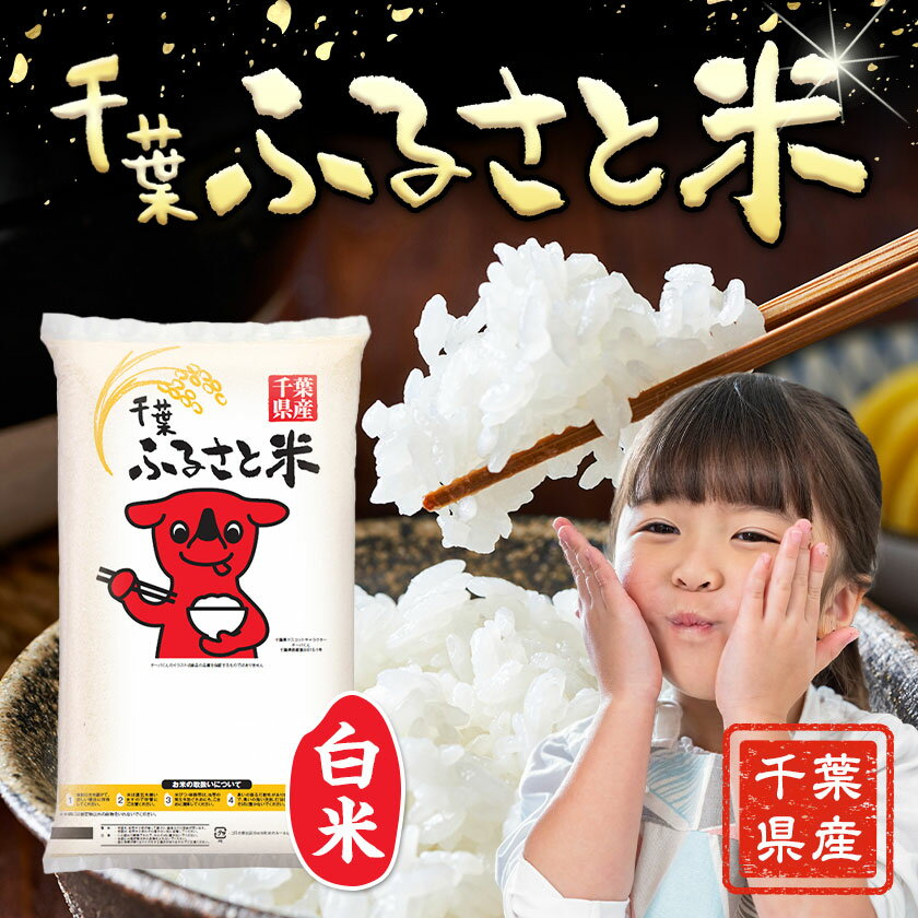 【ふるさと納税】 米 千葉ふるさと米 定期便あり 選べる 内容量 5kg 10kg 15kg 20kg 《出荷時期をお選びください》千葉県 勝浦市 米 白米 精米 国産 お米 おこめ お弁当 おにぎり こしひかり コシヒカリ