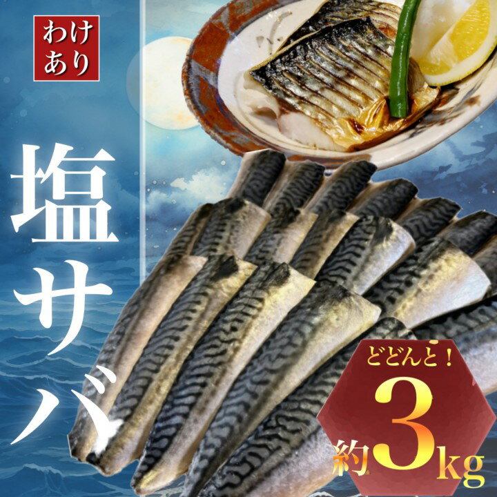 [訳あり]勝浦市の人気の海鮮お礼品 無添加 塩サバ 3kg[配送不可地域:離島]