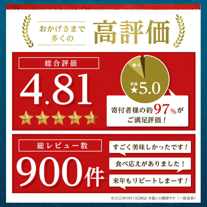 【ふるさと納税】【訳あり】勝浦市の人気の海鮮お礼品 無添加 塩サバ 3kg【配送不可地域：離島】【1240161】