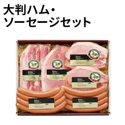 大判 ハム ソーセージ セット ベーコン ウインナー [ 詰め合わせ ウィンナー 豚肉 食べ比べ 豚 肉 お肉 スライス ]