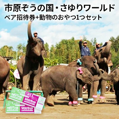 【ふるさと納税】市原ぞうの国 ペア 招待券 + 動物のおやつ 1つセット 動物園　【 チケット 入場券 優待券 レジャー 体験 施設利用券 】