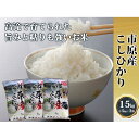 【ふるさと納税】市原産こしひかり【高滝米】合計15kg　【お