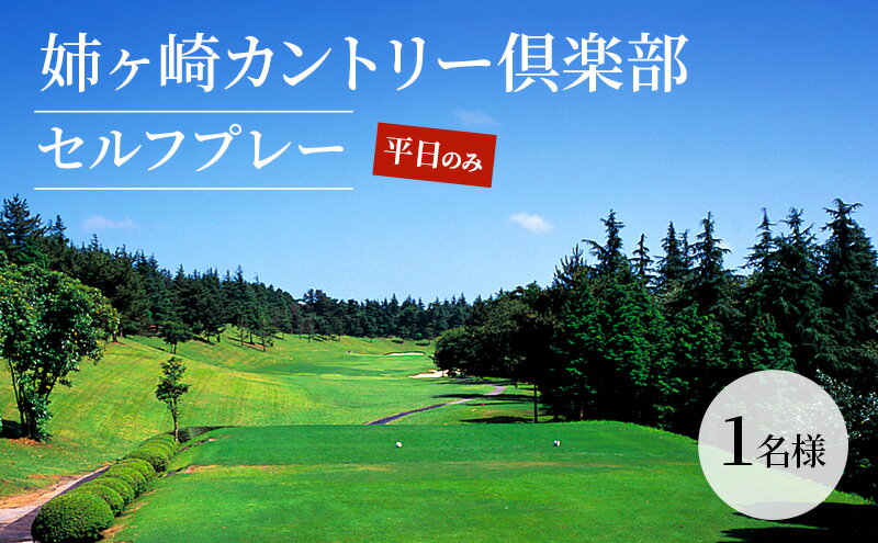 【ふるさと納税】ゴルフ場 千葉 姉ヶ崎カントリー倶楽部 セルフプレー 平日のみ 1名様 ゴルフ 関東 チケット ゴルフ場利用券 プレー券 施設利用券