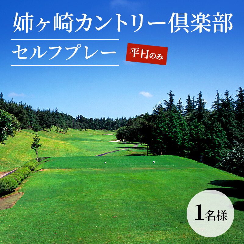 【ふるさと納税】ゴルフ場 千葉 姉ヶ崎カントリー倶楽部 セルフプレー 平日のみ 1名様 ゴルフ 関東 チケット ゴルフ場利用券 プレー券 施設利用券