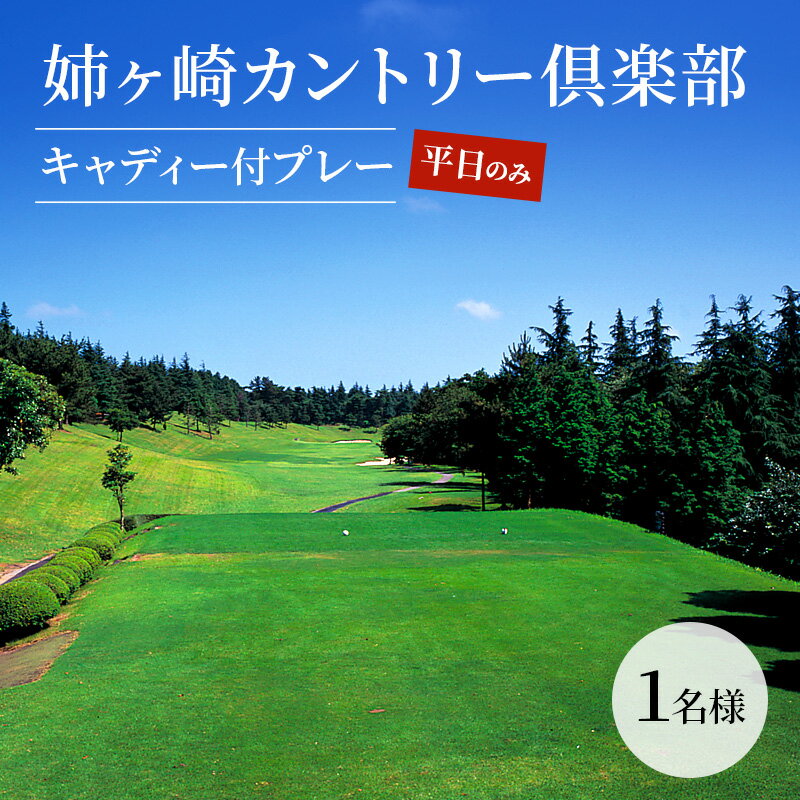 【ふるさと納税】ゴルフ場 千葉 姉ヶ崎カントリー倶楽部 キャディー付プレー 平日のみ 1名様 ゴルフ 関東 チケット ゴルフ場利用券 プレー券 施設利用券