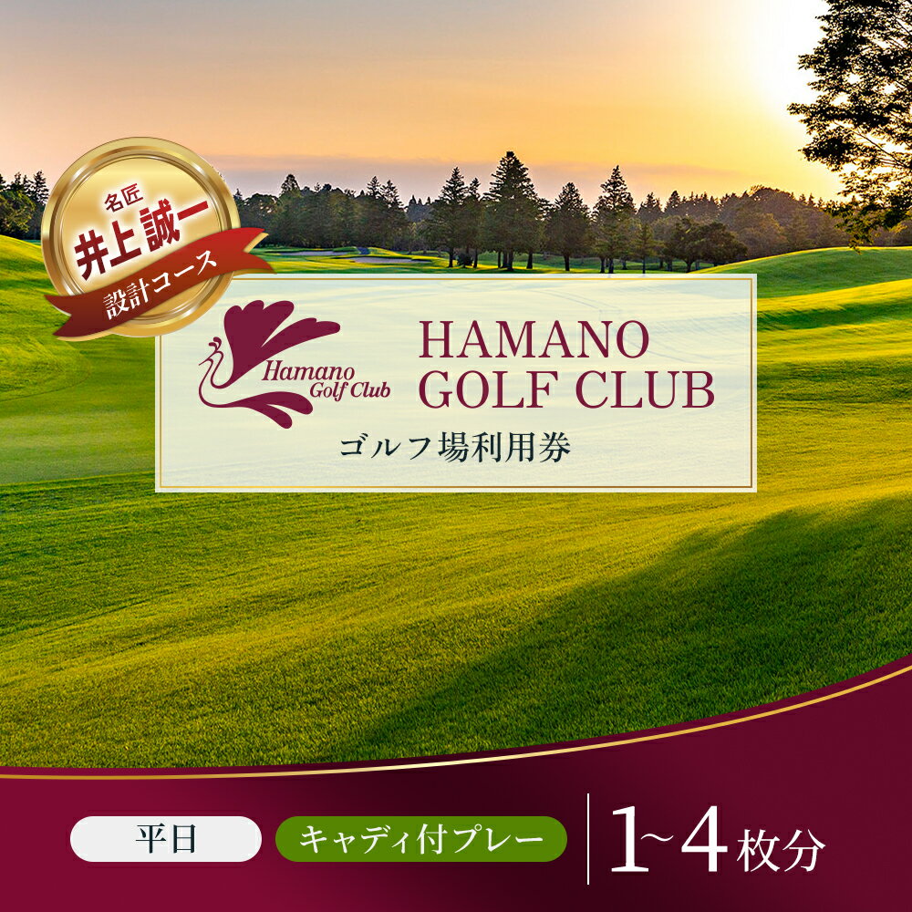 【ふるさと納税】〈券種が選べる〉ゴルフ場 千葉 浜野ゴルフクラブ 平日 1R キャディ付プレー券 1～4枚 ( 7月～9月 1月～3月) ゴルフ 関東 チケット ゴルフ場利用券 プレー券 施設利用券