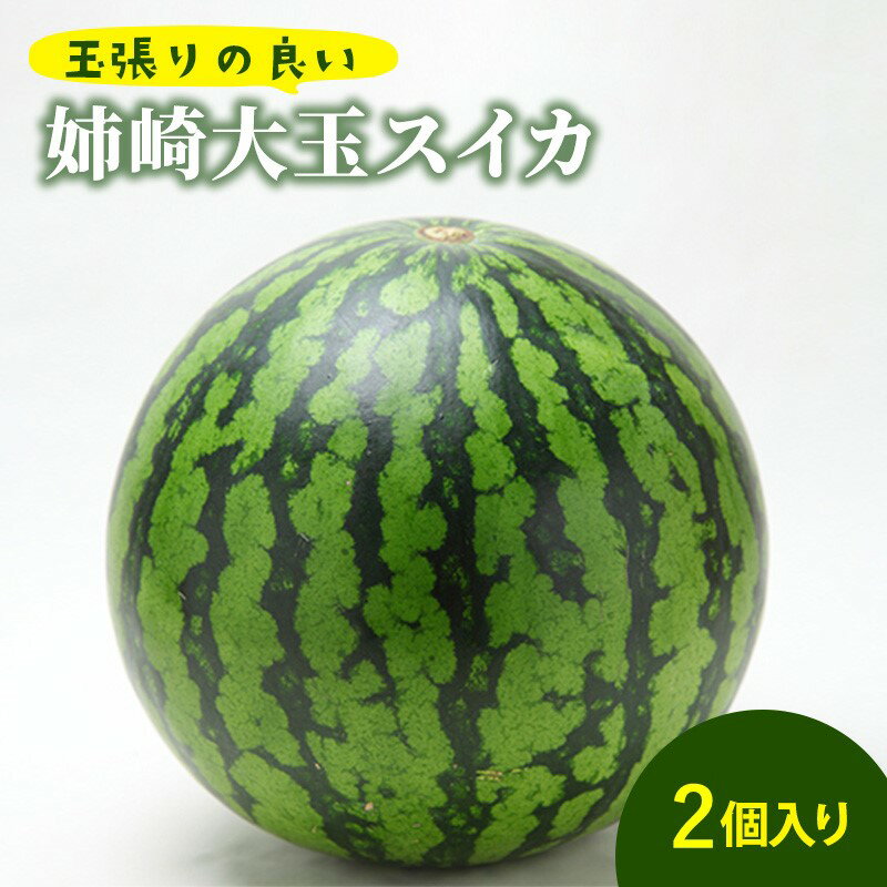 【ふるさと納税】玉張りの良い　姉崎大玉スイカ2個入り　【 果物類 フルーツ 】　お届け：2023年8月上旬〜中旬のサムネイル