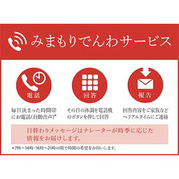 【ふるさと納税】郵便局のみまもりでんわサービス(固定電話コース12か月)　【チケット】