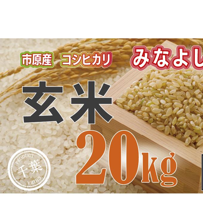 【ふるさと納税】みなよし米【市原産コシヒカリ・玄米】20Kg　【玄米・お米・コシヒカリ】　お届け：毎年10月1日～